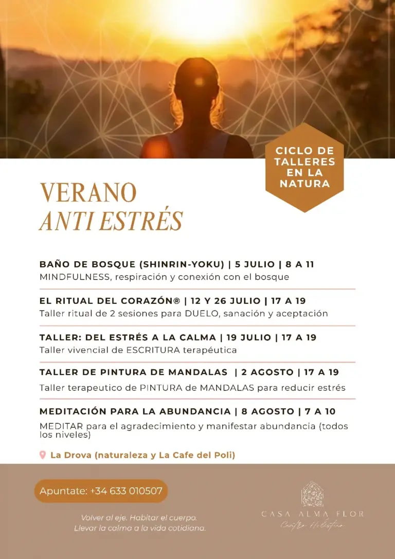 casa alma flow programa es